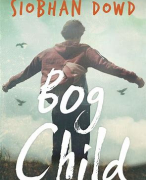 Essay on Bog Child by Siobhan Dowd